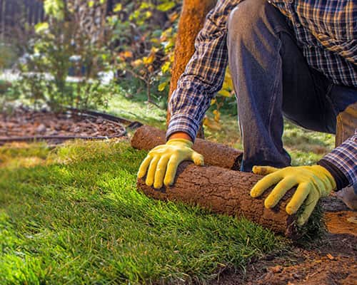 Mann legt Rollrasen aus